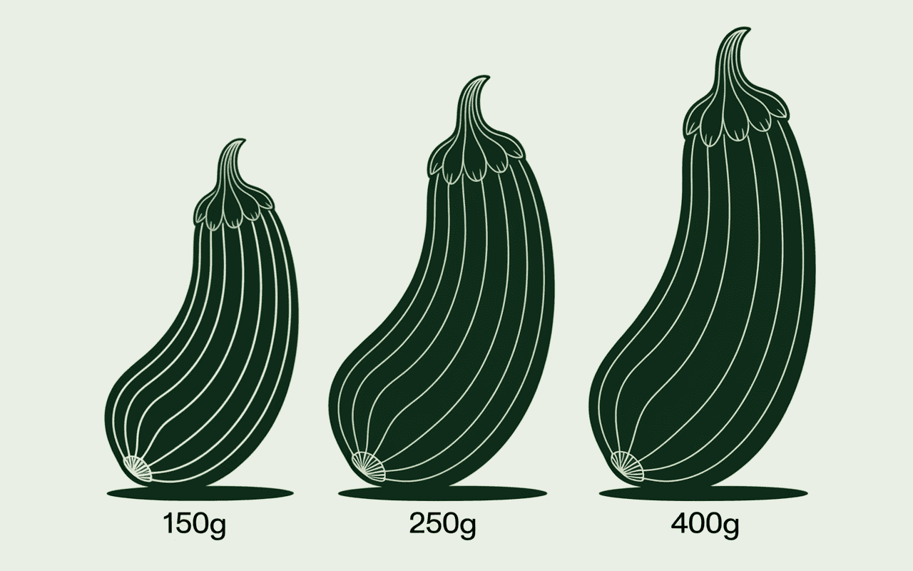 Trois courgettes avec poids, poids d'une courgettes