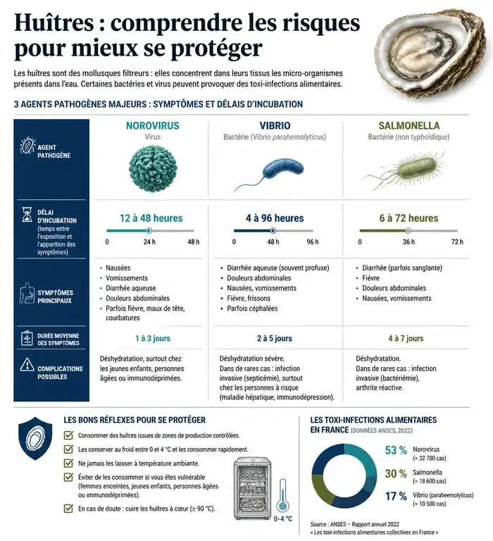 Infographie comparative des agents pathogènes responsables de l'intoxication alimentaire par les huîtres