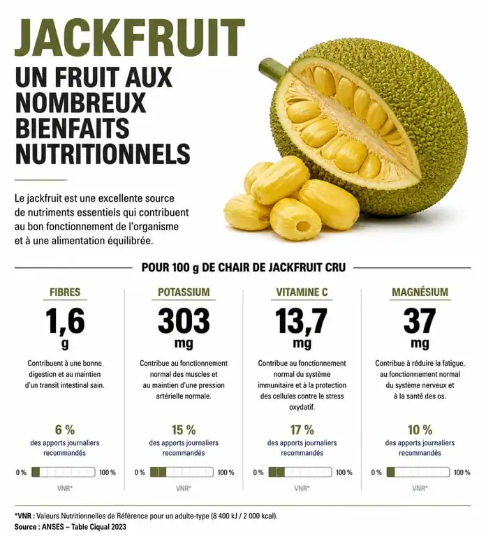 Infographie des valeurs nutritionnelles du jackfruit pour 100g